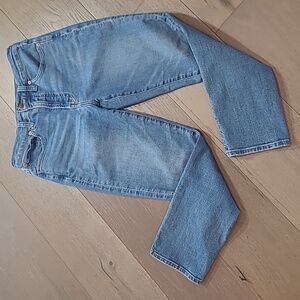 Madewell Perfect Vintage Jeans Women's sz 27 Mid Rise Perfect Vintage Denim Jean